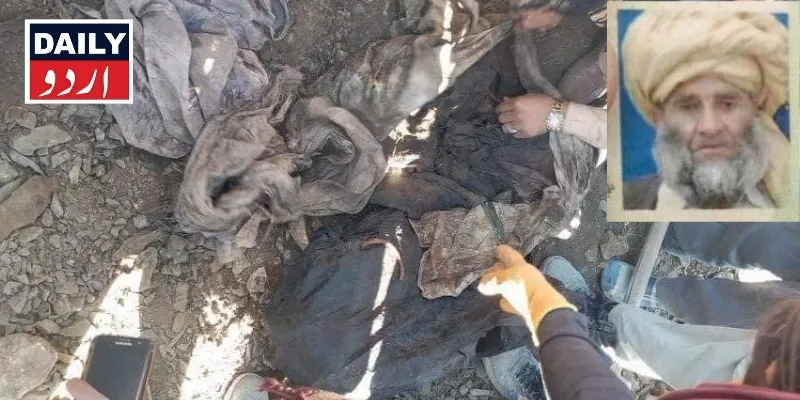دہشتگردی