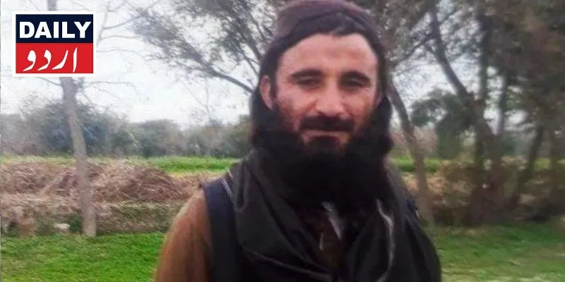 دہشتگردی