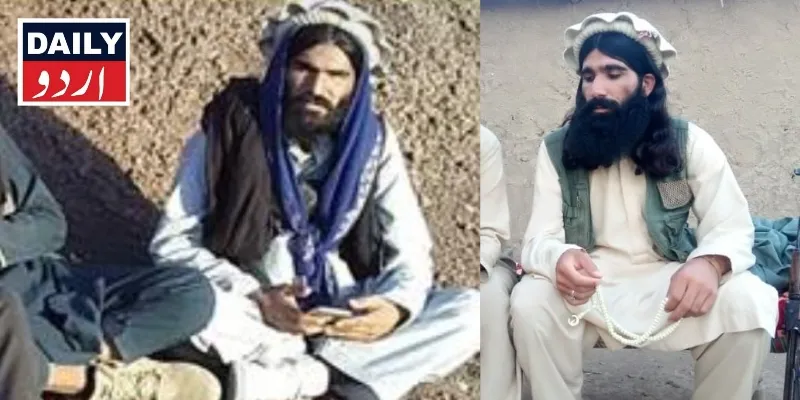 دہشتگردی