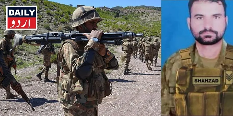 دہشتگردی