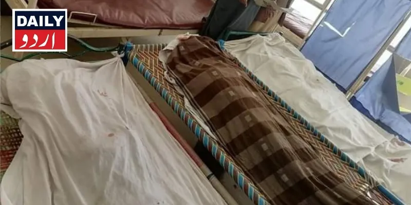 دہشتگردی