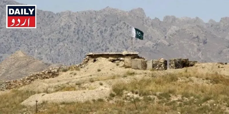 دہشتگردی
