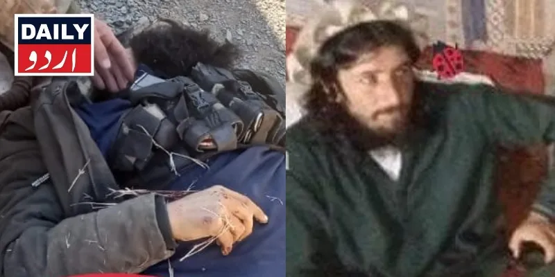 دہشتگردی