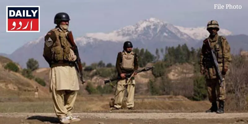 دہشتگردی