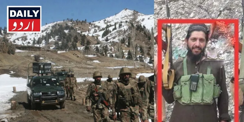 دہشتگردی