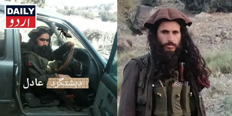 دہشتگردی