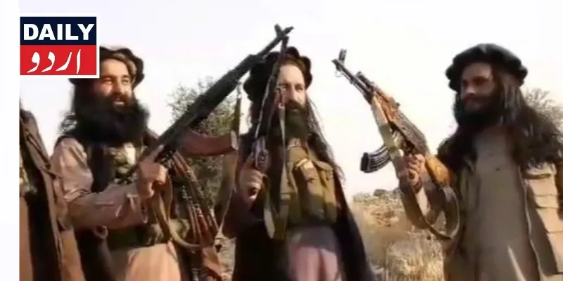 دہشتگردی