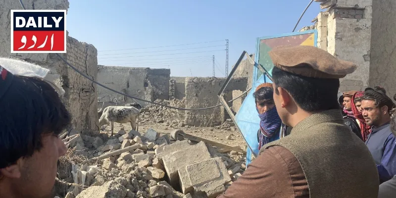 دہشتگردی