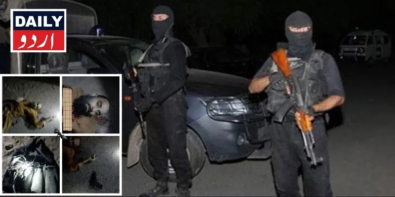 دہشتگردی