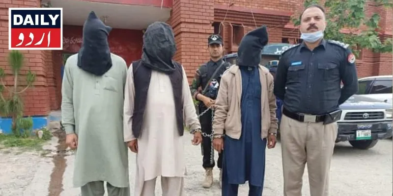 دہشتگردی