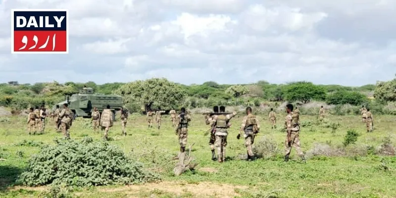 دہشتگردی
