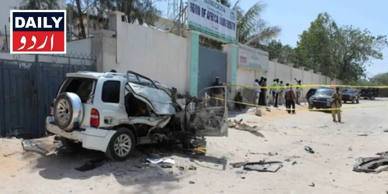 دہشتگردی