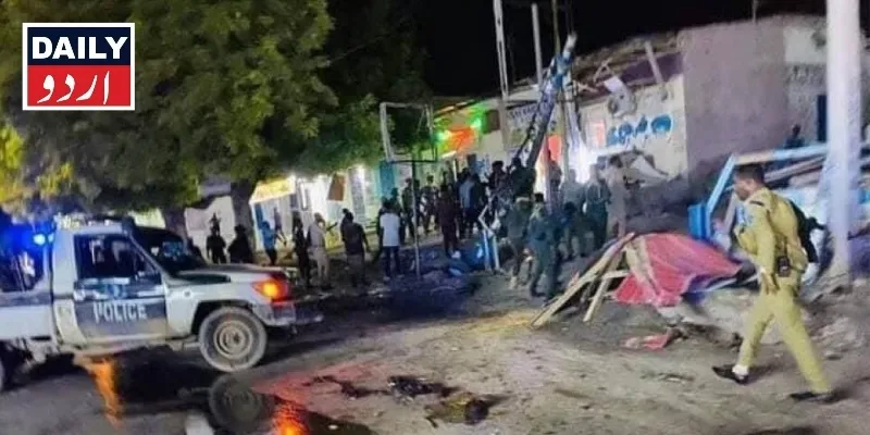 دہشتگردی