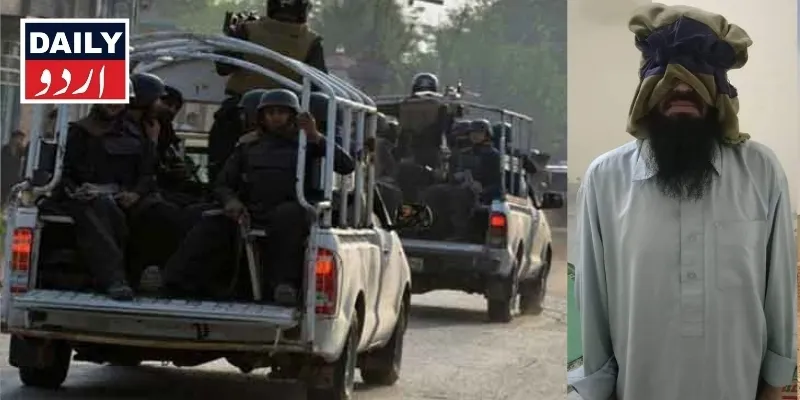 دہشتگردی