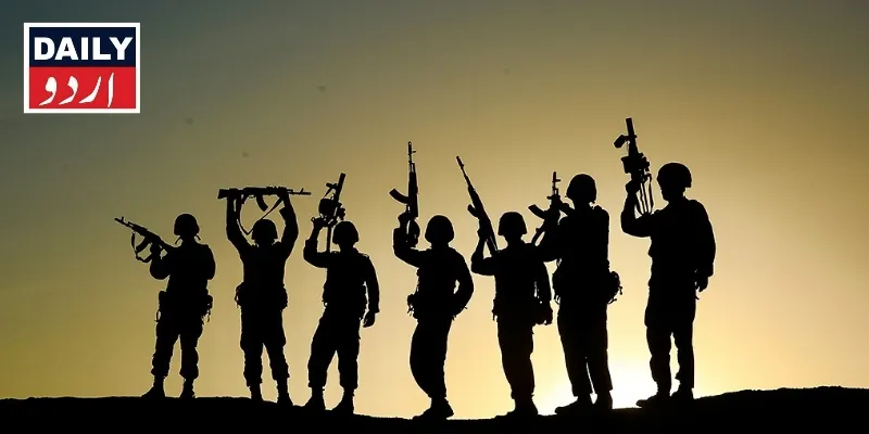 دہشتگردی