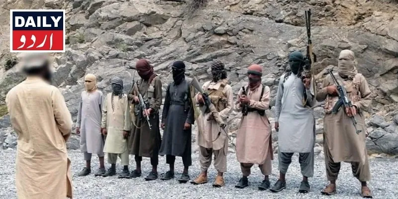 دہشتگردی