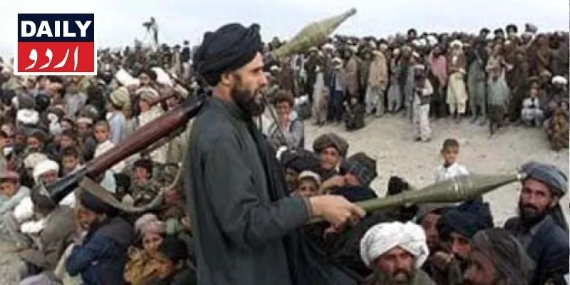 دہشتگردی