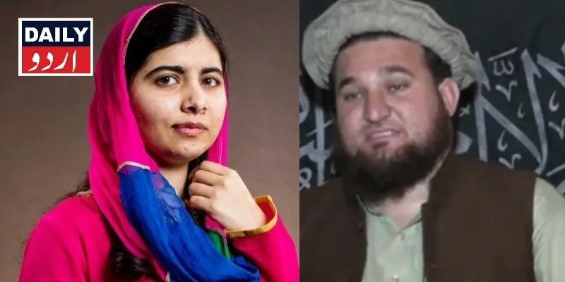 دہشتگردی