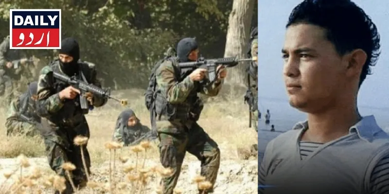 دہشتگردی