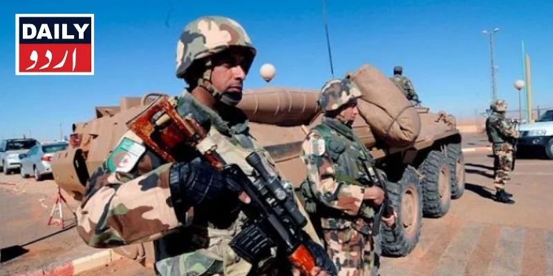 دہشتگردی