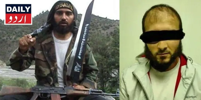 دہشتگردی