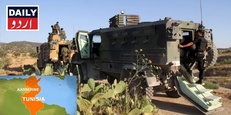 دہشتگردی
