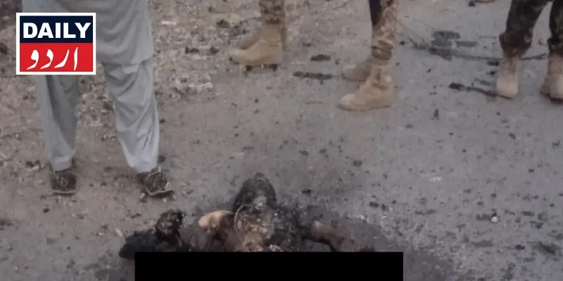 دہشتگردی
