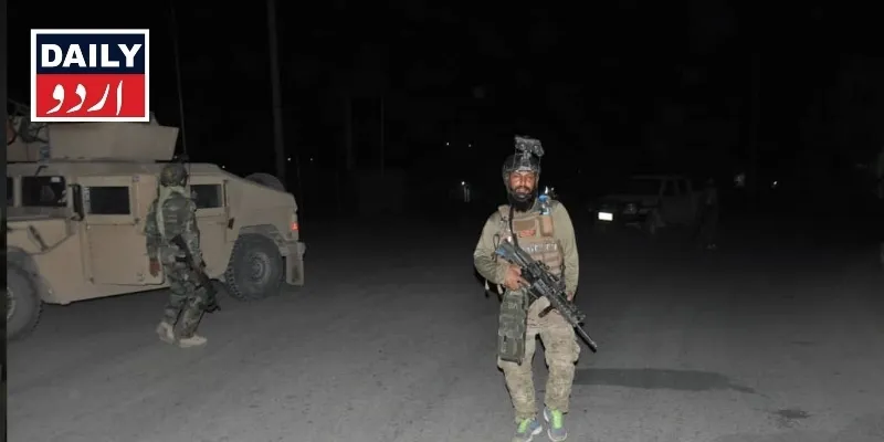 دہشتگردی