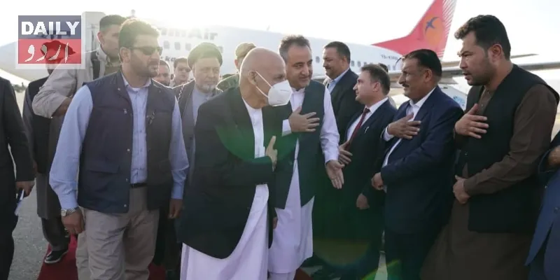 سیاست