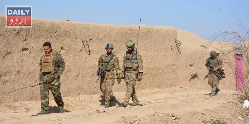 دہشتگردی