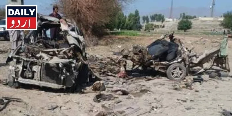 دہشتگردی