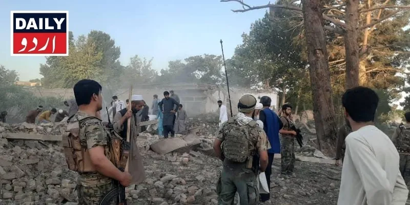 دہشتگردی