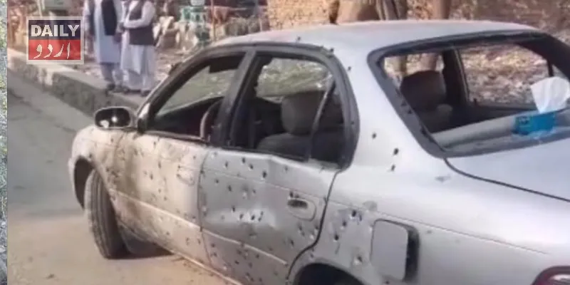 دہشتگردی
