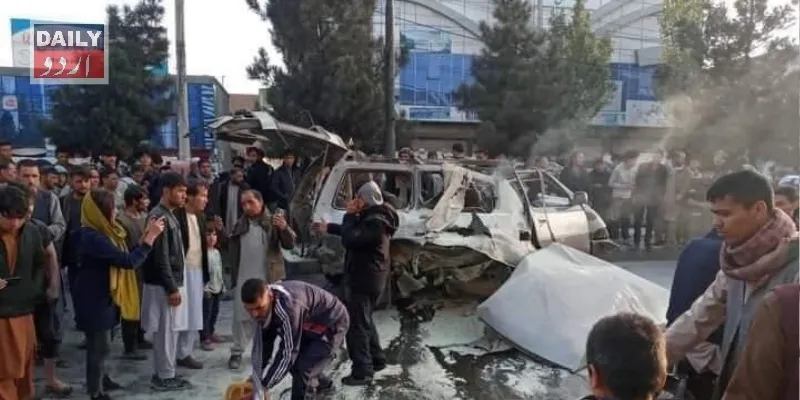 دہشتگردی