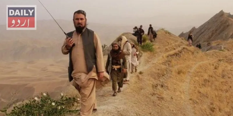 دہشتگردی