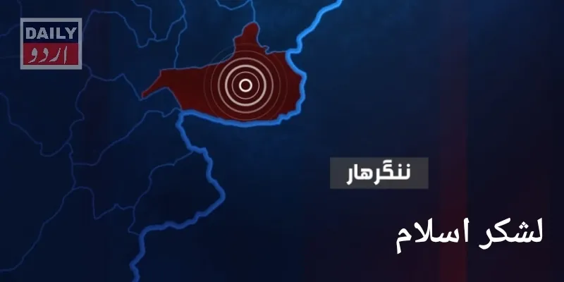 دہشتگردی