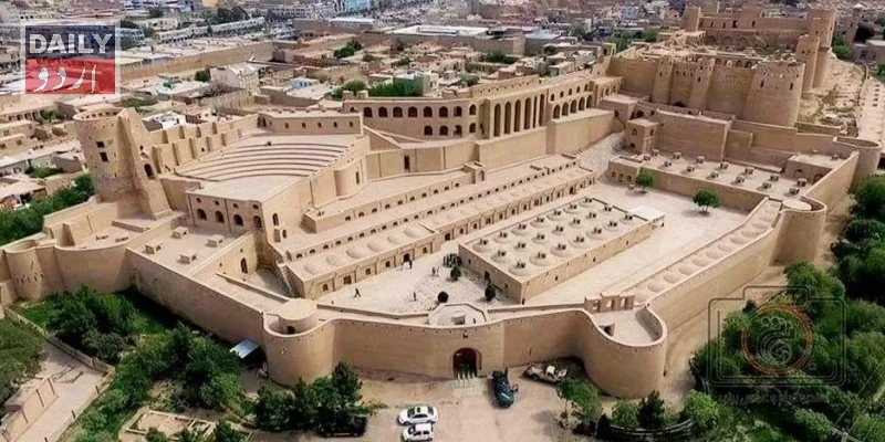 دہشتگردی