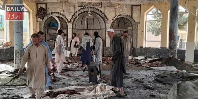 دہشتگردی