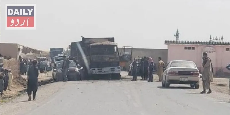دہشتگردی