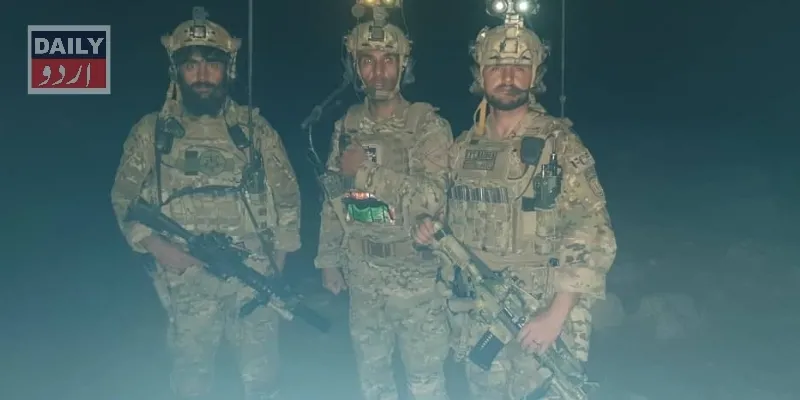 دہشتگردی
