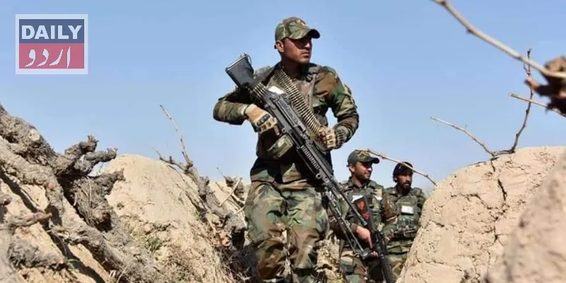 دہشتگردی