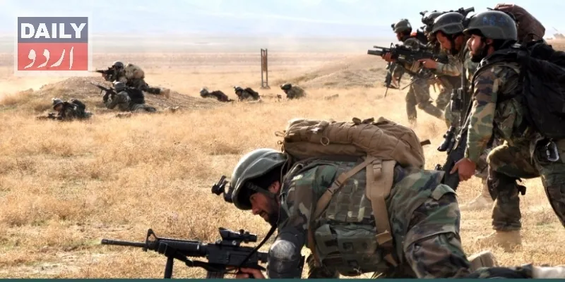 دہشتگردی