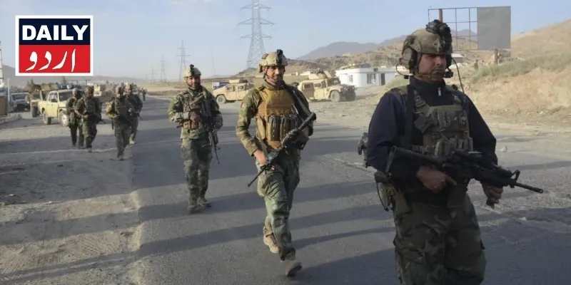دہشتگردی