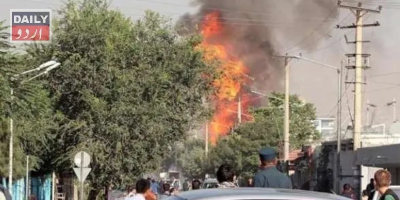 دہشتگردی