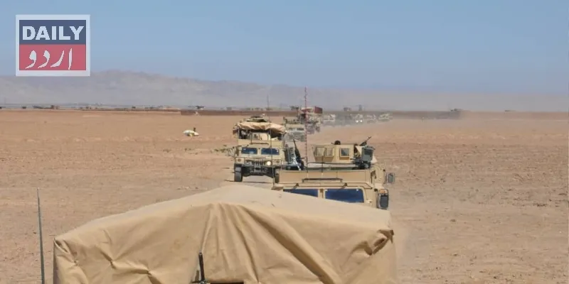 دہشتگردی
