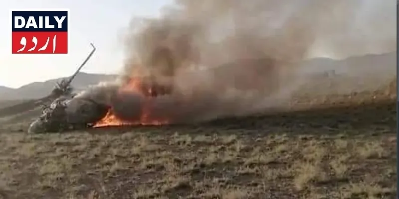 دہشتگردی
