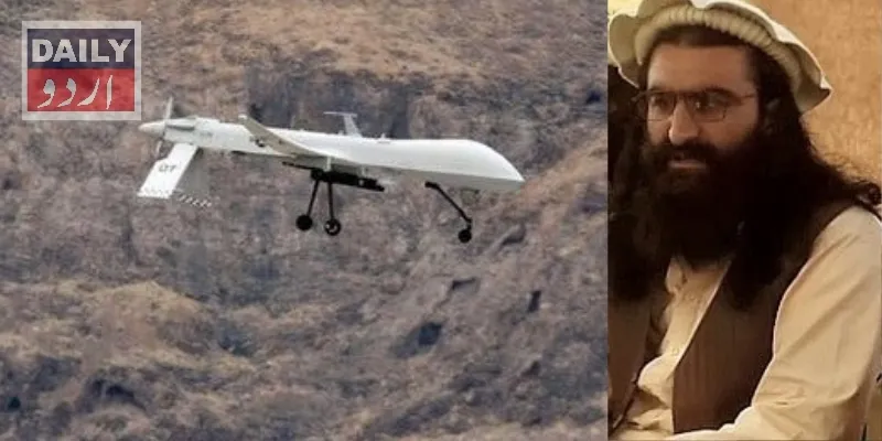 دہشتگردی