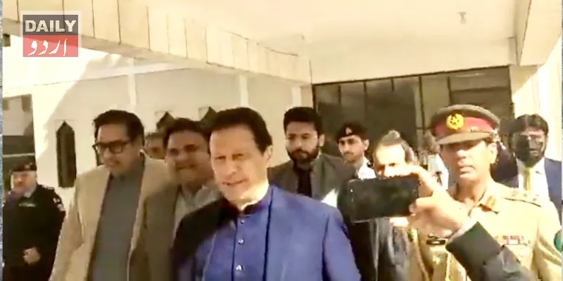 کورٹس