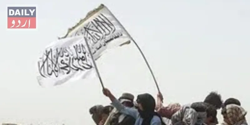 کرائمز