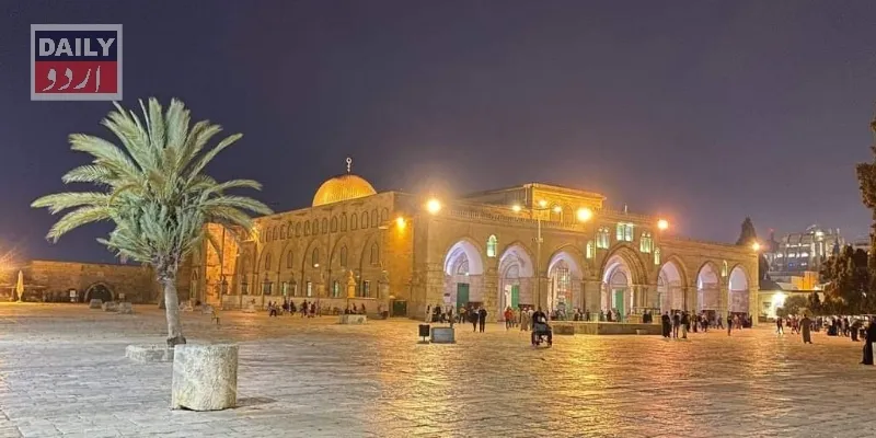 کورٹس